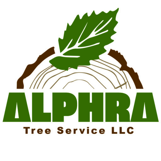 Safe, Reliable and Affordable Tree Service